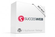 packagebox-succesweb