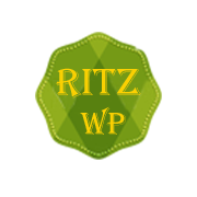 Ritz Professional Multipurpose WordPress Theme